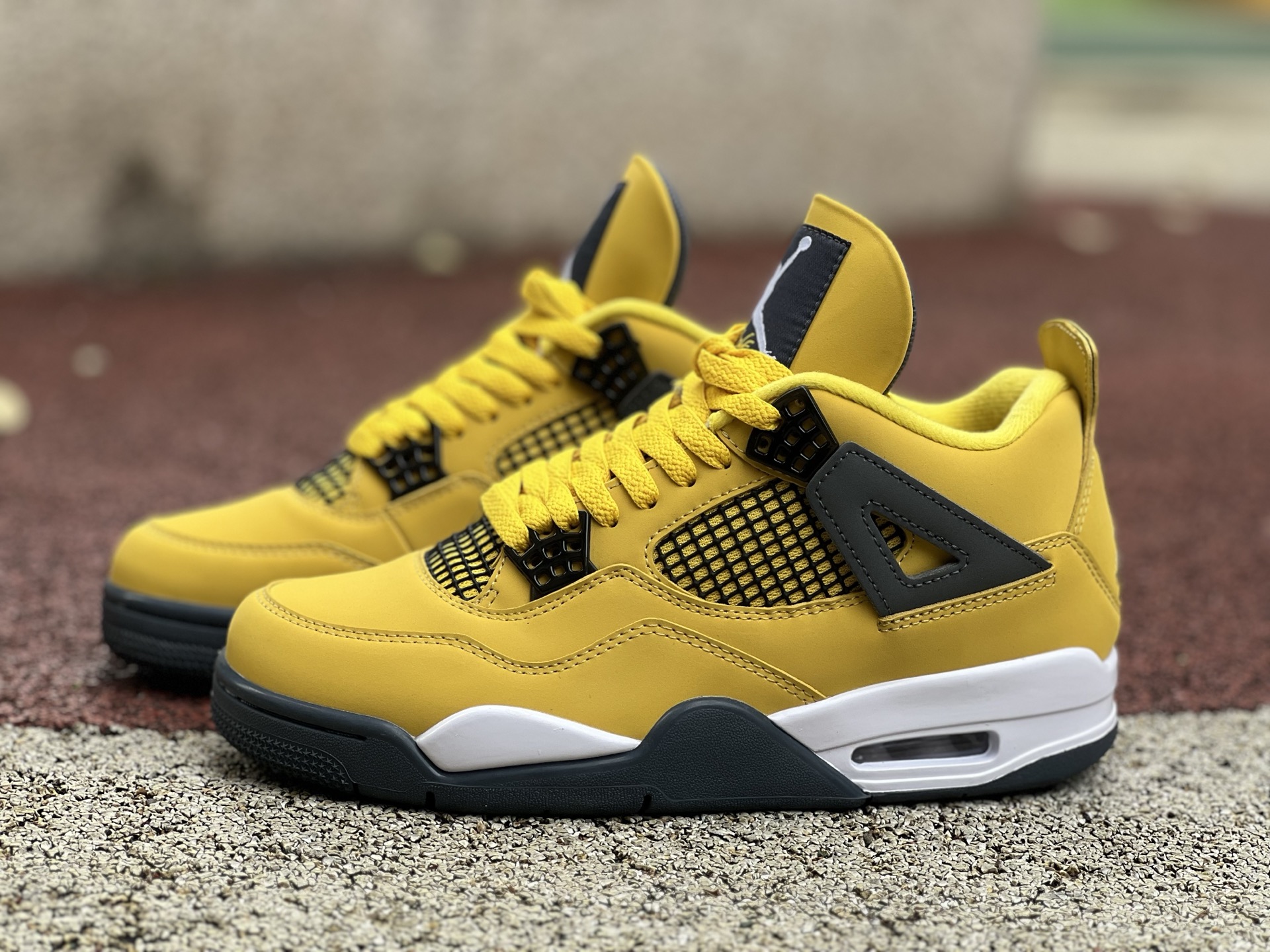 Nike Jordan shoe